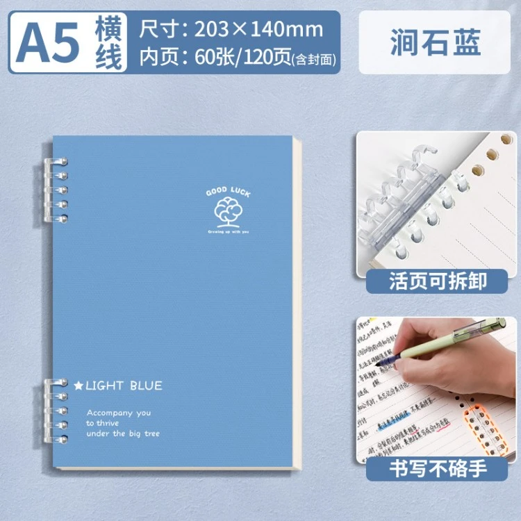 Loose-leaf notebook design 9